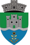 Primaria Castelu